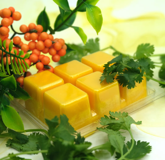 Citrus Cilantro Wax Melts