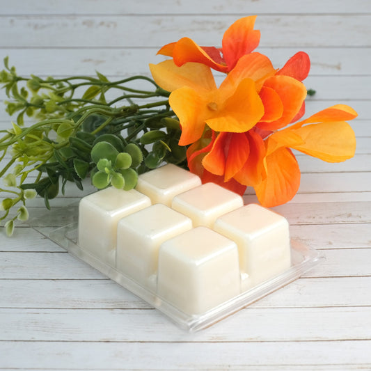 Clothesline Wax Melts