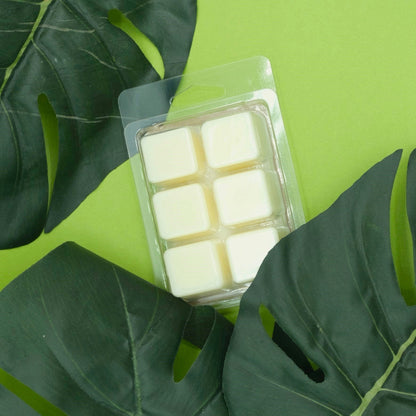 Coconut Lime Verbena Wax Melts